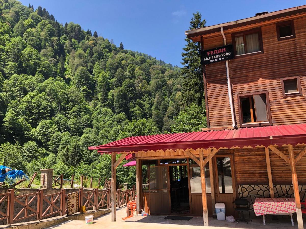 Ferah Butik Otel Çamlıhemşin 外观 照片