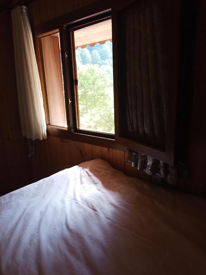 Ferah Butik Otel Çamlıhemşin 外观 照片